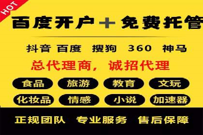 SEM运营公司经典案例点评